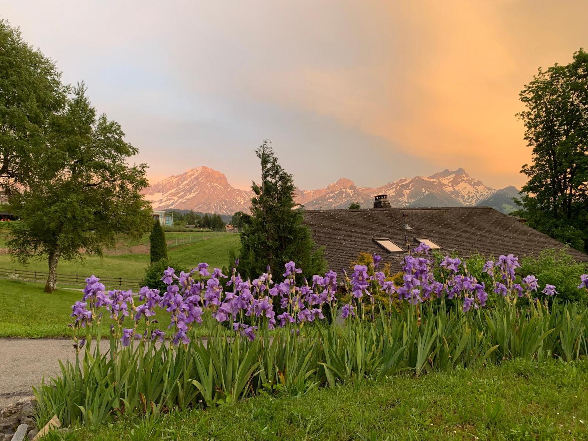 Apartamento Chalet La Renarde Villars-sur-Ollon Habitación foto